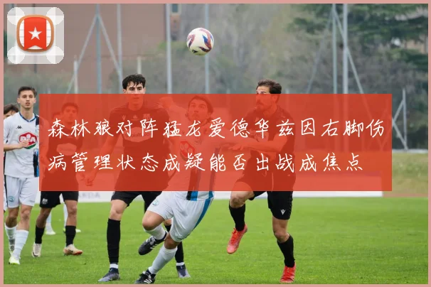 森林狼对阵猛龙爱德华兹因右脚伤病管理状态成疑能否出战成焦点