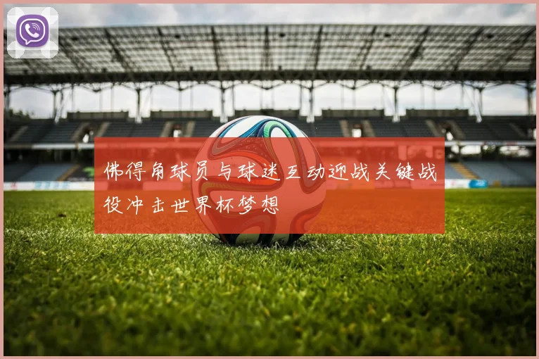 佛得角球员与球迷互动迎战关键战役冲击世界杯梦想