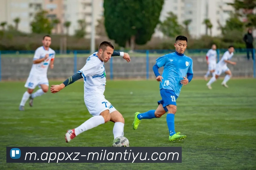 App Interface Preview