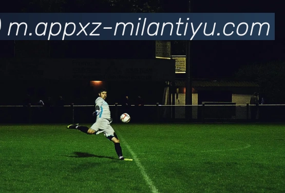 米兰体育APP 封面图